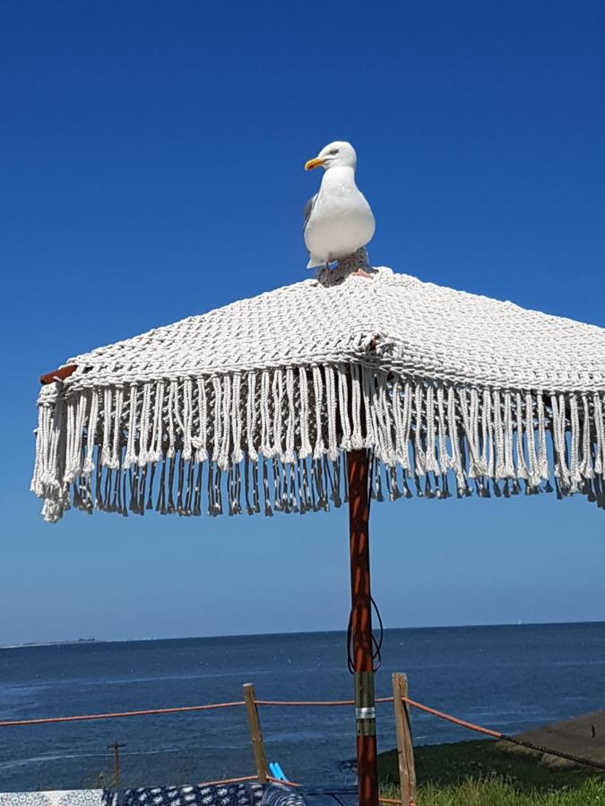 Romantisch Huisje Nabij Het Strand Met Uitzicht Op De Tulpenvelden 줄리아나도르프 외부 사진