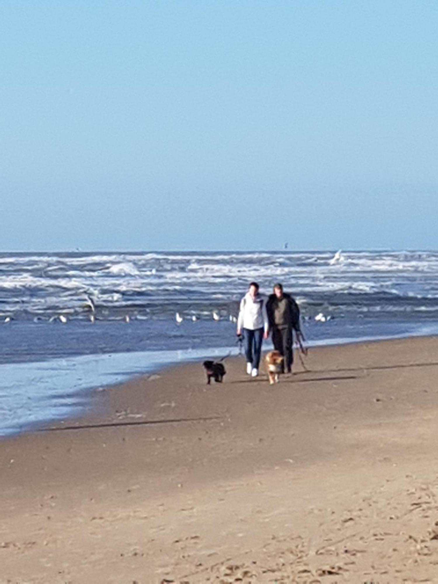 Romantisch Huisje Nabij Het Strand Met Uitzicht Op De Tulpenvelden 줄리아나도르프 외부 사진