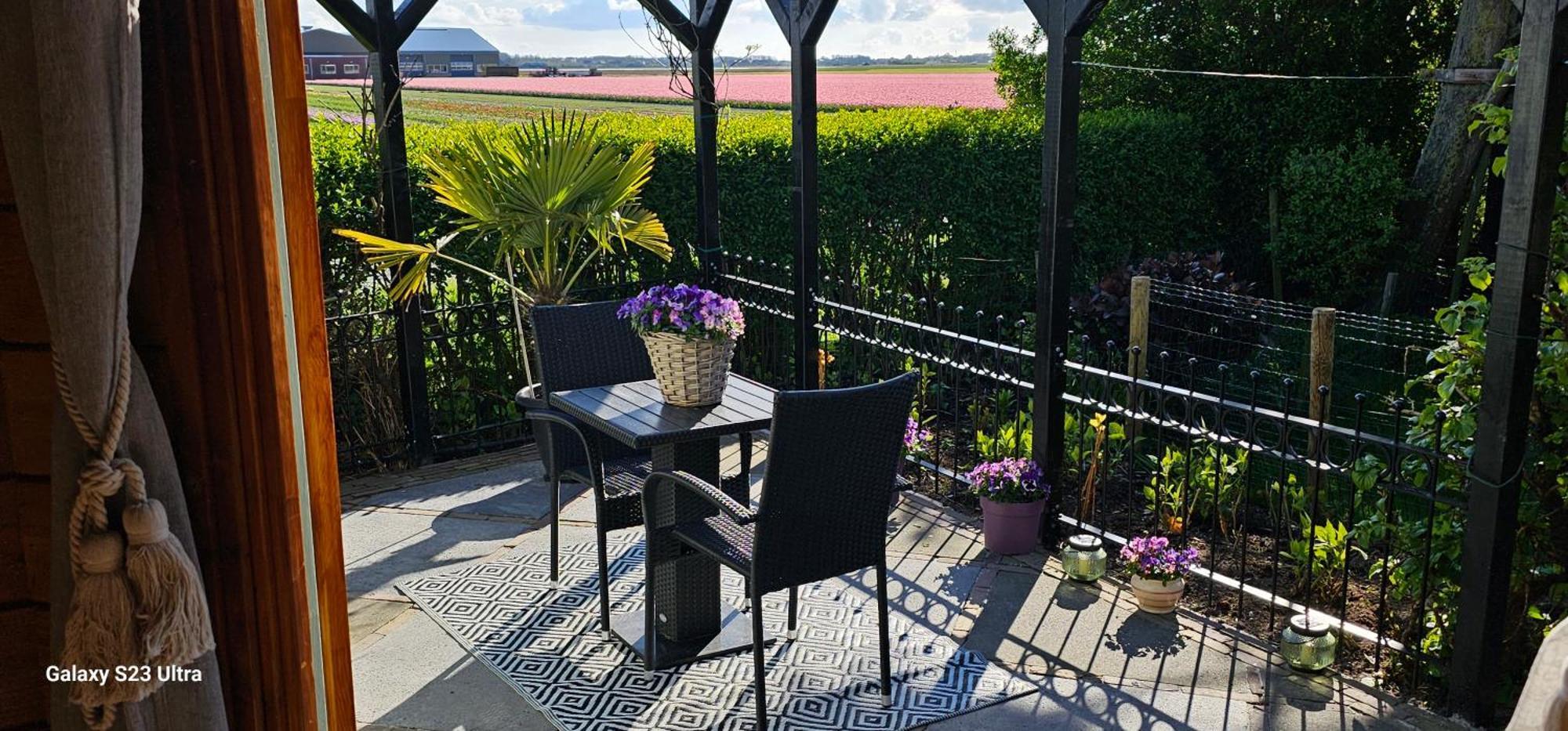 Romantisch Huisje Nabij Het Strand Met Uitzicht Op De Tulpenvelden 줄리아나도르프 외부 사진