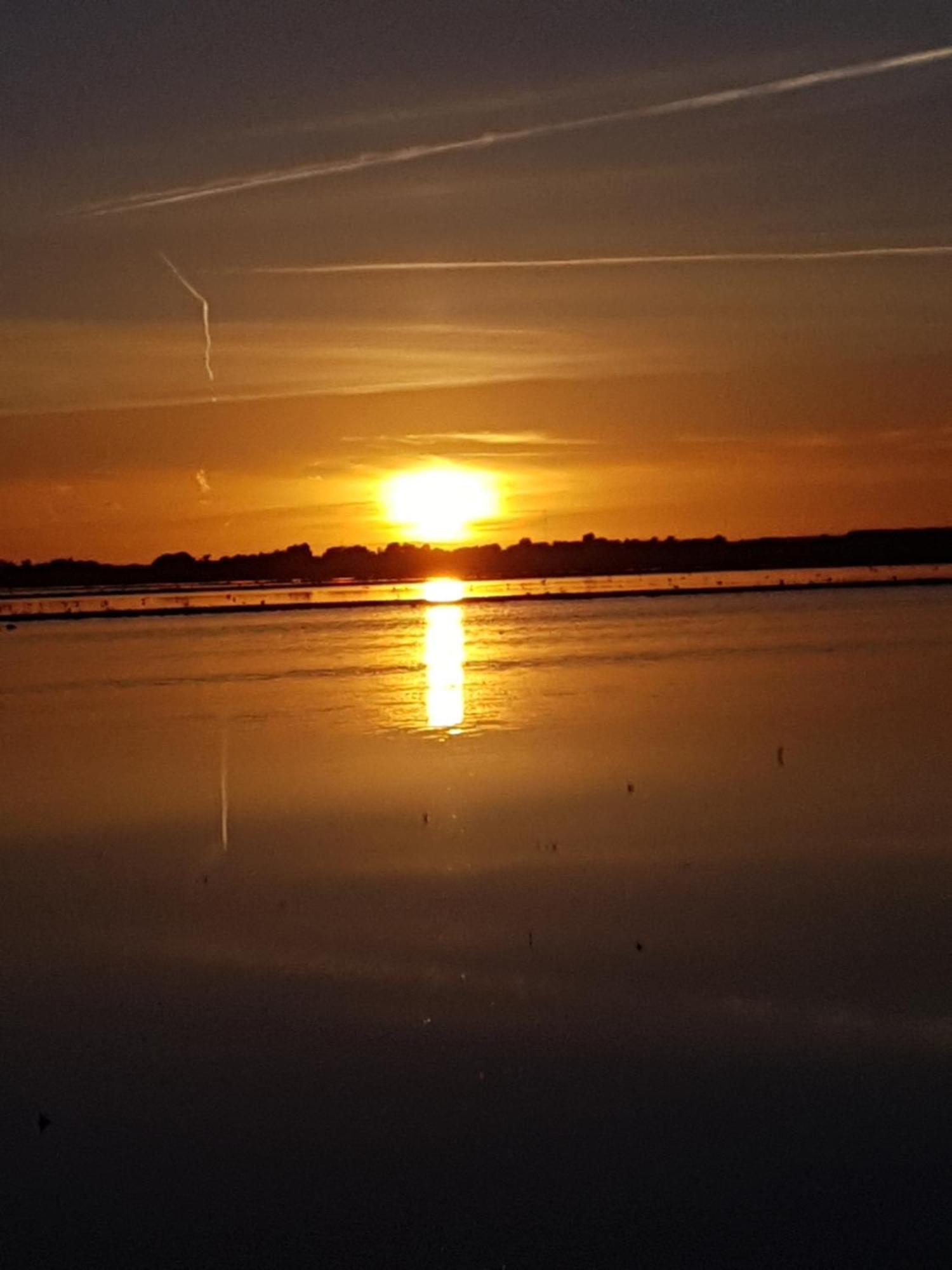 Romantisch Huisje Nabij Het Strand Met Uitzicht Op De Tulpenvelden 줄리아나도르프 외부 사진