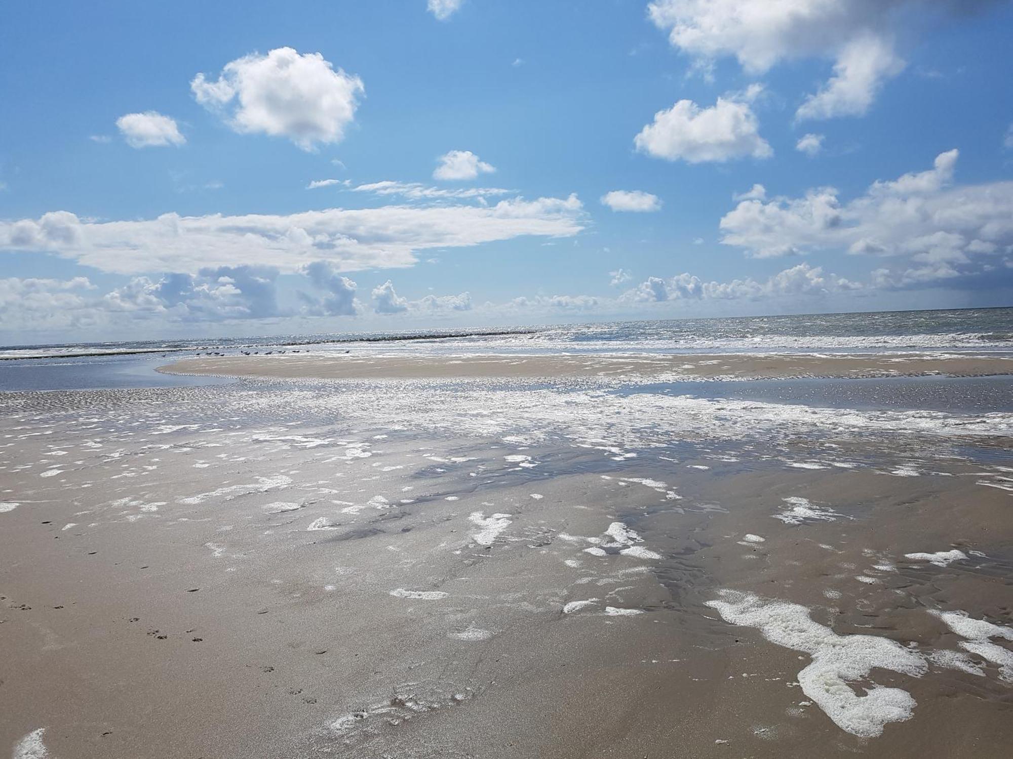 Romantisch Huisje Nabij Het Strand Met Uitzicht Op De Tulpenvelden 줄리아나도르프 외부 사진