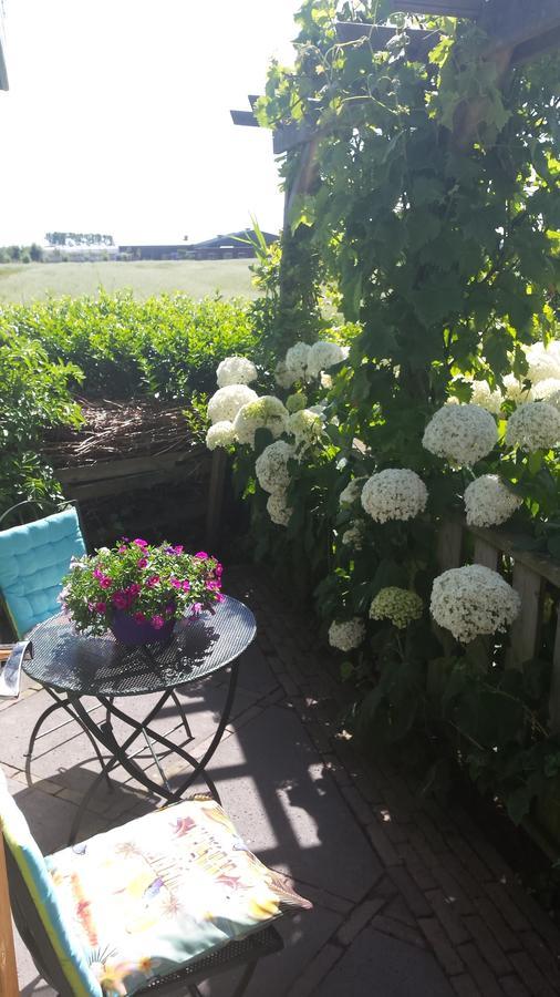 Romantisch Huisje Nabij Het Strand Met Uitzicht Op De Tulpenvelden 줄리아나도르프 외부 사진
